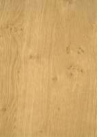 renolit 32.Antique_Oak